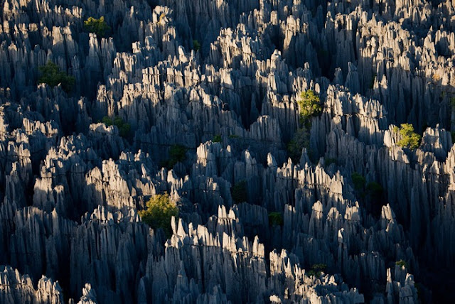 منظر+لغابات+تسينگي+الصخرية+وقت+الغروب من أجمل الاماكن التي قد تراها ، تسينگي: الغابة الصخرية في مدغشقر