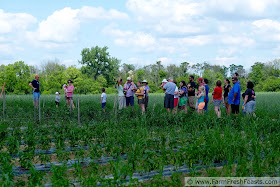 a group of Mile Creek Farm CSA members on a field tour