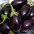 Getting   started    with     brinjals