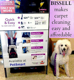 Bissell Pawsitively Clean rental Kiosk with white poodle on the right side