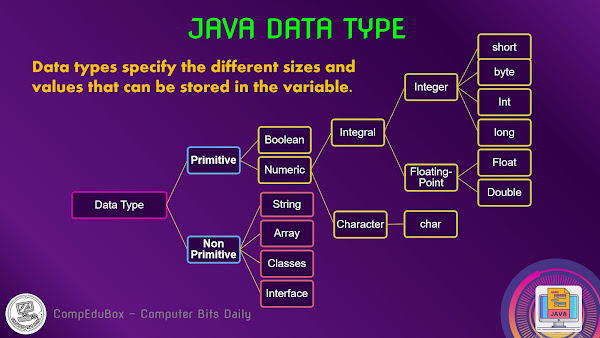 Java Programming: Data Types primitive and non primitives