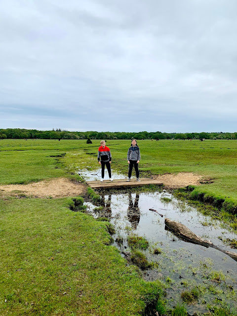 children on bridge over stream