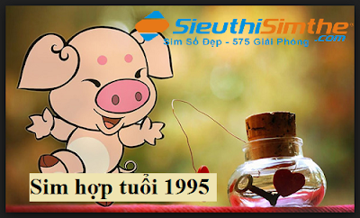 Sim hợp tuổi 1995