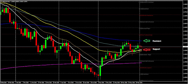 Daily Analysis USDCAD June 02, 2016