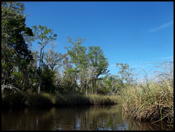 Ochlockonee Friday & Saturday 186
