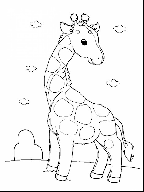 Marvelous Giraffe Baby Animal Coloring Pages With Free Animal Coloring Pages  And Free Animal Coloring Pages