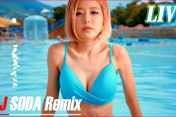 Dj Soda Remix 2017 Nonstop Dj Korean Dance So Cute Club Mix Part 5