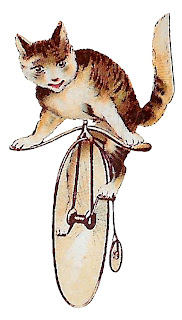 cat riding bicycle antique illustration transfer image download