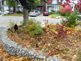 Fall Cleanup Bedford Park Front Yard Before by Paul Jung Gardening Services--a Toronto Organic Gardening Company