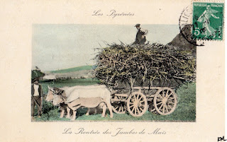 pays basque autrefois économie agriculture paysan
