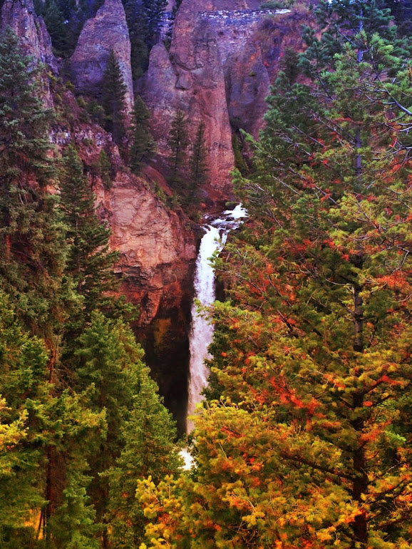 Tower Fall - Yellowstone