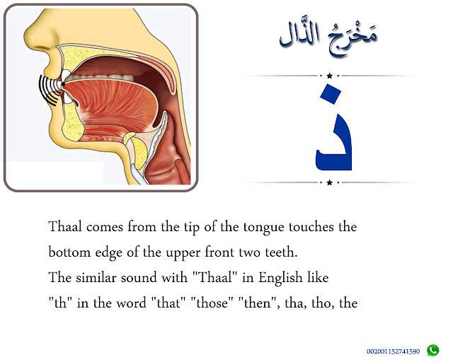 The Articulation Point of Thaal