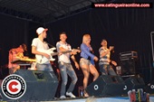 Festa 334