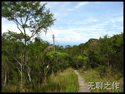Picture 004