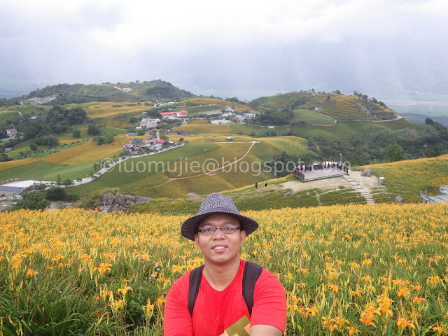 Hualien Sixty Stone Mountain daylily flowers