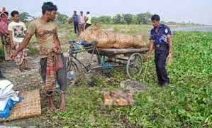 নারায়ণগঞ্জের সাত খুনের তদন্ত থেকে সিআইডি বাদ