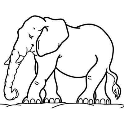 elephant coloring pages