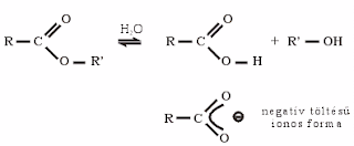 Oxovegyületek (Oxo compounds)