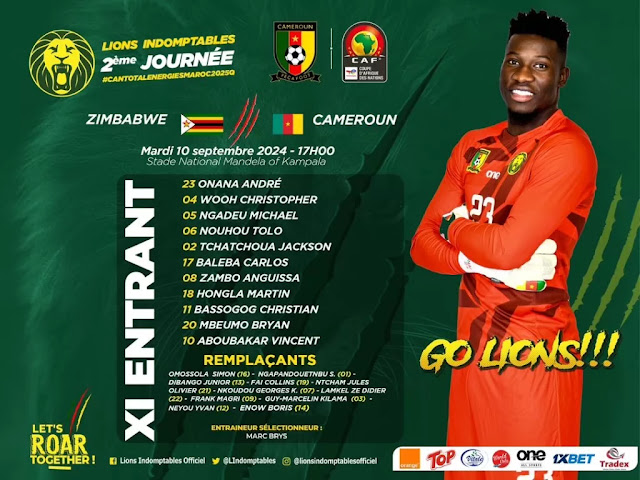 11 type des lions indomptable