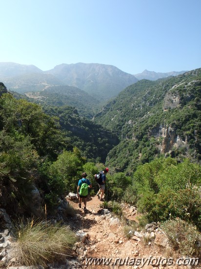 Barranco de la Garganta Verde (II)