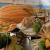 Bosconero, incontro enogastronomico: una cena d’autunno dedicata alla zucca del territorio “Madame la Zucca”
