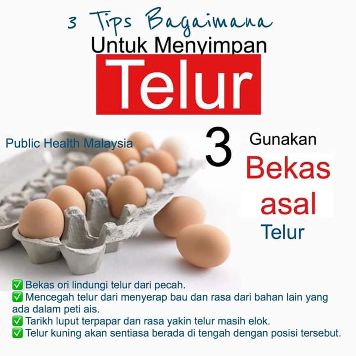 3 Cara Yang BETUL Simpan Telur