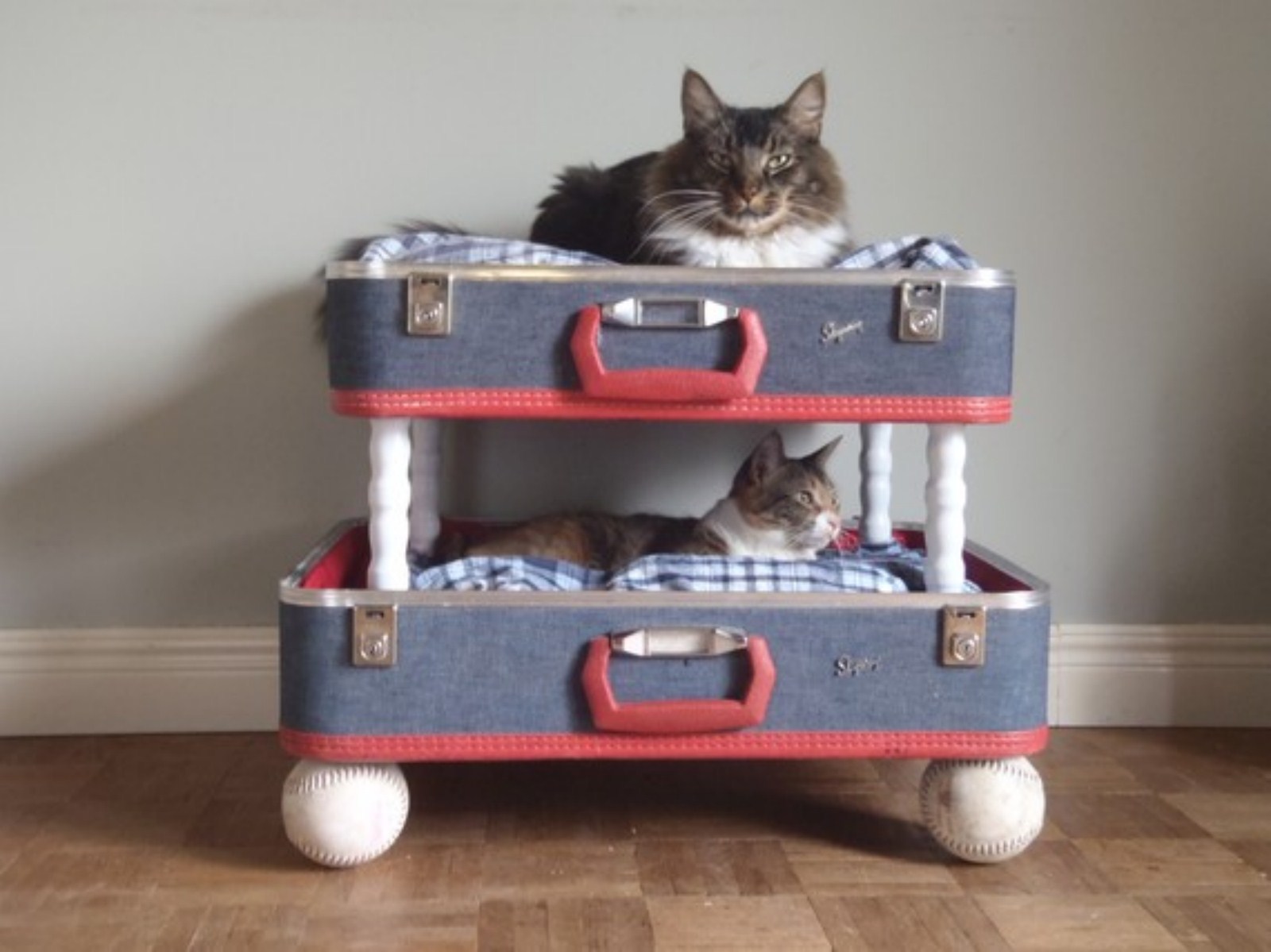 Cat Bed From Old Suitcase