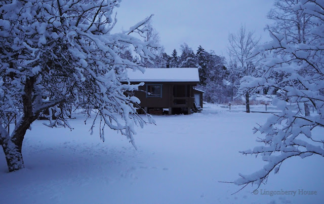 lingonberryhouse, winter, leisure home, talvi, sininen hetki, mökki, lumi