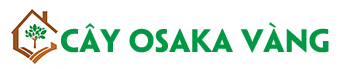 Cây Osaka Vàng
