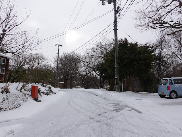 ペンション街の道路