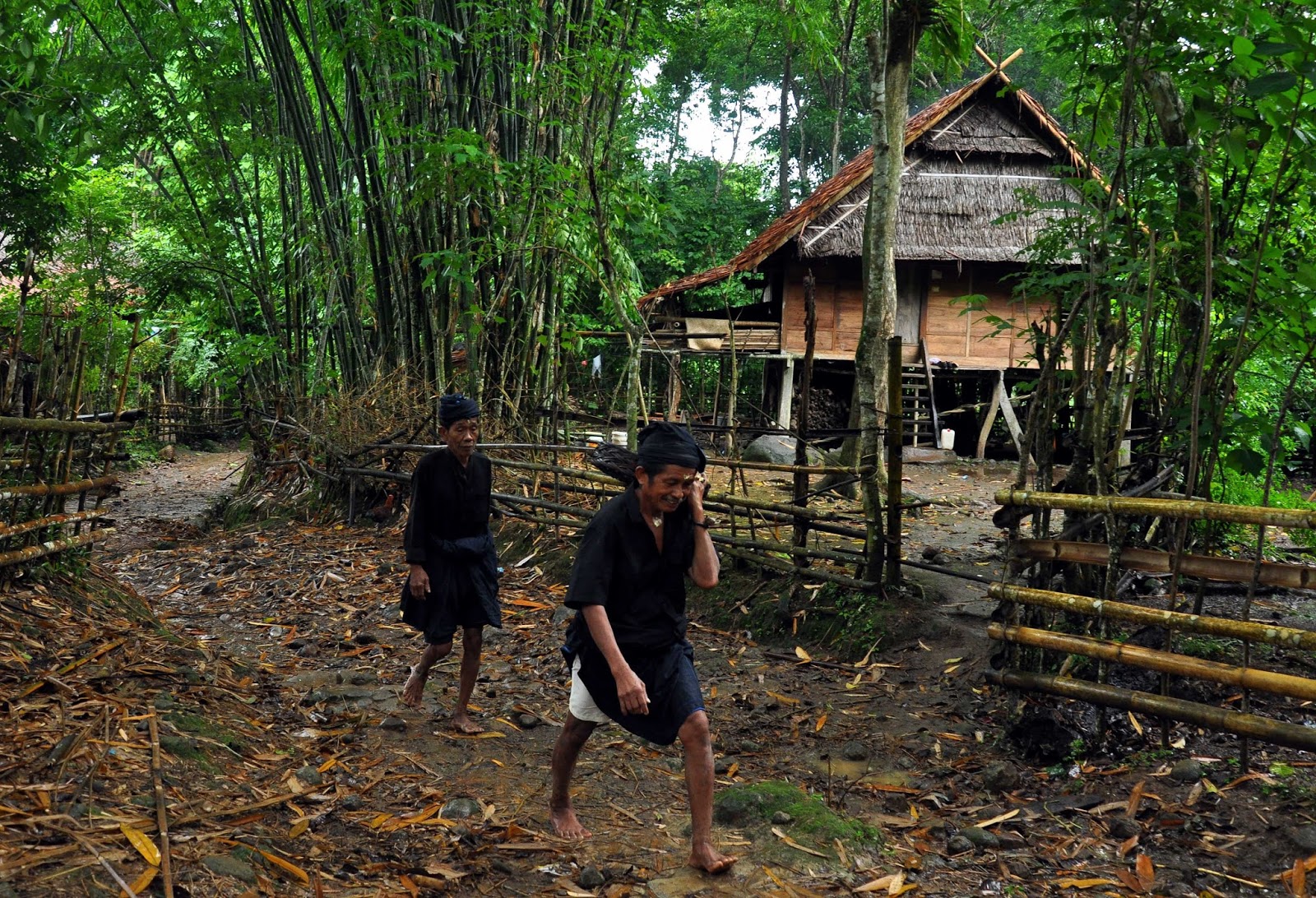 Suku Kajang Duta Keseimbangan Alam Dan Manusia Tanpa 