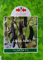 jual benih, terong hijau, terong ungu, terung, manfaat terong, toko pertanian, toko online, lmga agro