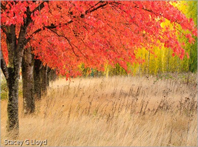 Blog_20111104_1-2