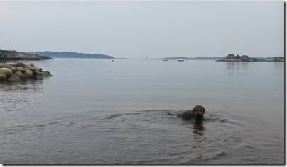 20140523_201339
