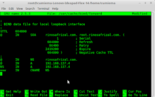 Instalasi dan konfigurasi DNS server pada Linux