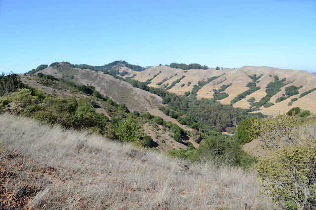 the edge of a valley that starts up at Round Top