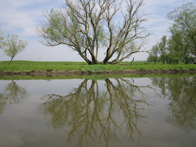 StevenLiebregtFotografie