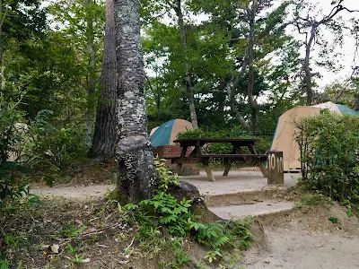 清和県民の森キャンプ場