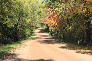 photo of country road in Autumn