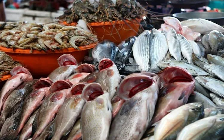 تراجع أسعار الأسماك في سوق العبور اليوم