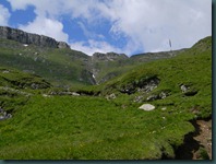 DSCN5495