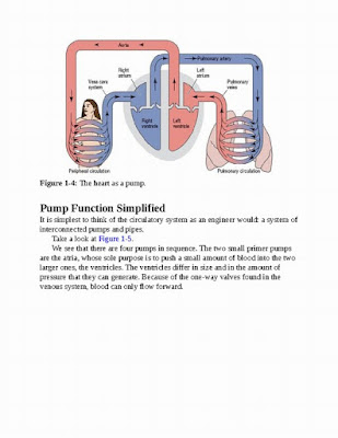 12-Lead ECG: The Art of Interpretation 2nd Edition