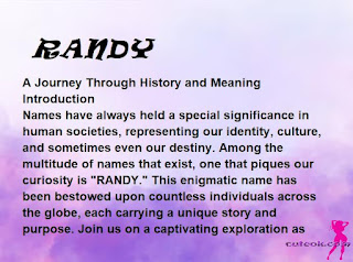 meaning of the name "RANDY"