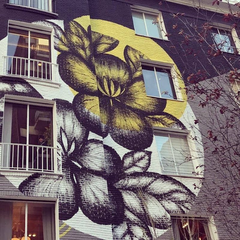 Casa FOA 2017: Mural Ciclope - María Pilar Tolosa, Julián Facundo Razquin