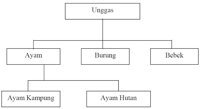 Konsep Dasar Pemrograman Berorientasi Objek 2_