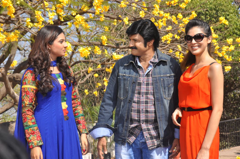 Bala Krishna New Movie Launch Photos wallpapers