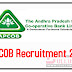 ఆప్‌కాబ్‌ - Andhra Pradesh Co-operative Bank Limited 2017 Notification