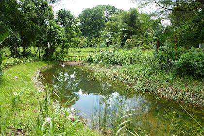 Rifle Range Nature Park