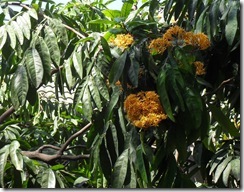 <SAMSUNG DIGITAL CAMERA>