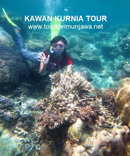 gambar wisata karimunjawa